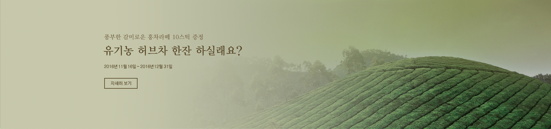 삼다원 차 배너 이미지